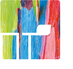 Программа Техно