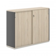 Шкаф - купе средний Allegro AG.245 Шкаф - купе средний Allegro AG.245
