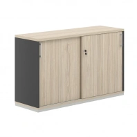 Шкаф - купе низкий Allegro AG.241 Шкаф - купе низкий Allegro AG.241