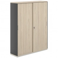 Шкаф - купе высокий Allegro AG.247 Шкаф - купе высокий Allegro AG.247