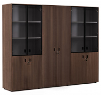 Шкаф комбинированный и гардеробом Renz 109 731 ECL 01 Шкаф комбинированный и гардеробом Renz 109 731 ECL 01