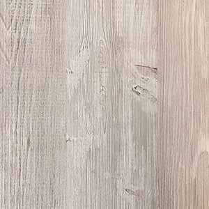 Сосна Эдмонт Сосна Эдмонт