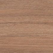 Дуб Кофейный Дуб Кофейный